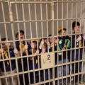 IMG 9989